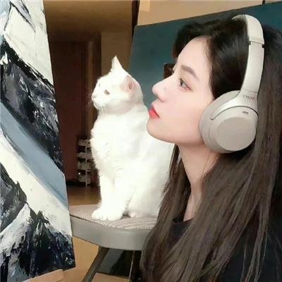 妖精森林的小不点