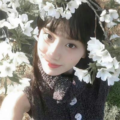 南非三明治（电影）